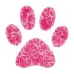 Preppy Pink Paw, Contact - The Preppy Princess Puppy Boutique
