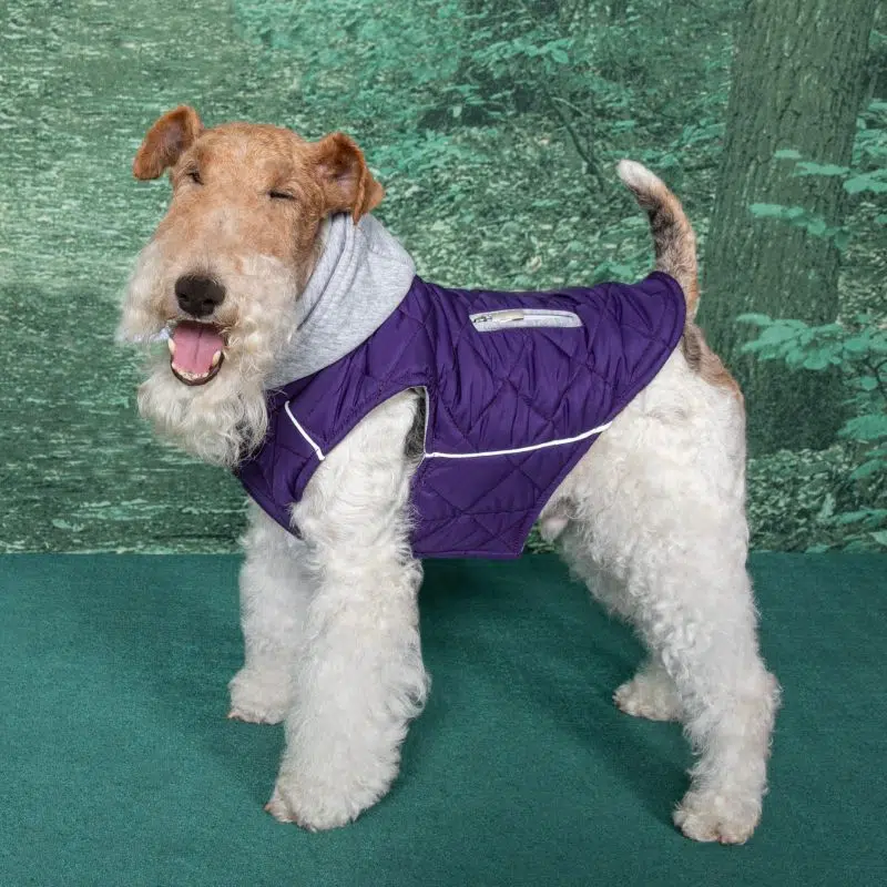 Weekender Dog Sweatshirt Hoodie - Purple