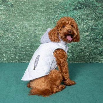 Weekender Dog Sweatshirt Hoodie - White