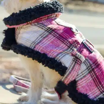 Sherpa-Lined Dog Harness Coat – Hot Pink & Tan Plaid