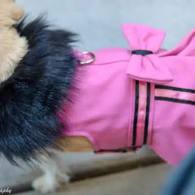 Wool & Fur Trimmed Harness Coat – Pink