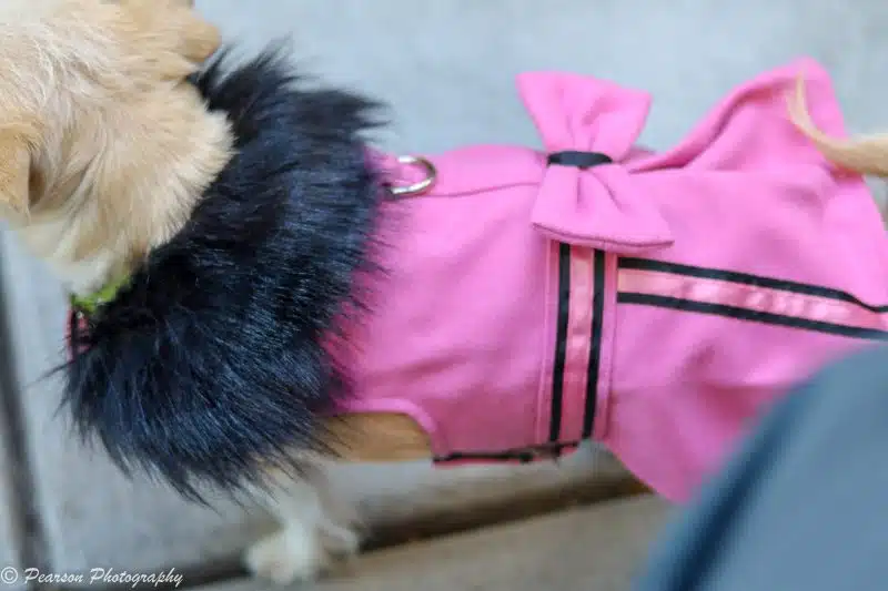 Wool & Fur Trimmed Harness Coat – Pink