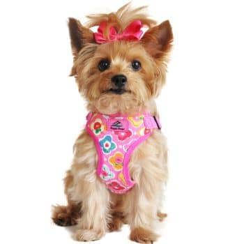 Wrap and Snap Choke Free Dog Harness by Doggie Design - Maui Pink