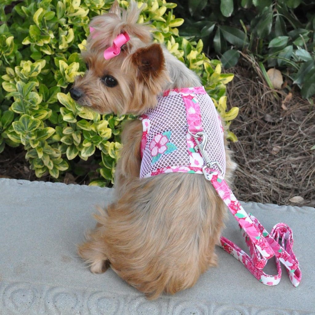Cool Mesh Dog Harness & Leash - Hawaiian Hibiscus Pink