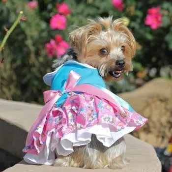 Pink and Blue Plumeria Floral Dog Dress