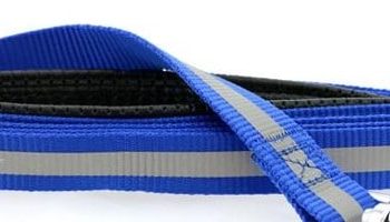 Reflective Nylon Leash with Soft Grip Handle - 3/4 in. Wide x 5 ft. Long - COBALT BLUE