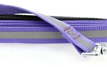 Reflective Nylon Leash with Soft Grip Handle - 3/4 in. Wide x 5 ft. Long - PAISLEY PURPLE