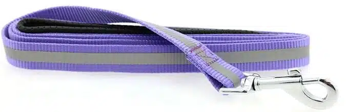 Reflective Nylon Leash with Soft Grip Handle - 3/4 in. Wide x 5 ft. Long - PAISLEY PURPLE