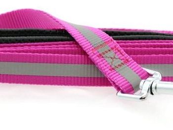 Reflective Nylon Leash with Soft Grip Handle - 3/4 in. Wide x 5 ft. Long - RASPBERRY PINK