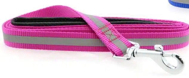 Reflective Nylon Leash with Soft Grip Handle - 3/4 in. Wide x 5 ft. Long - RASPBERRY PINK