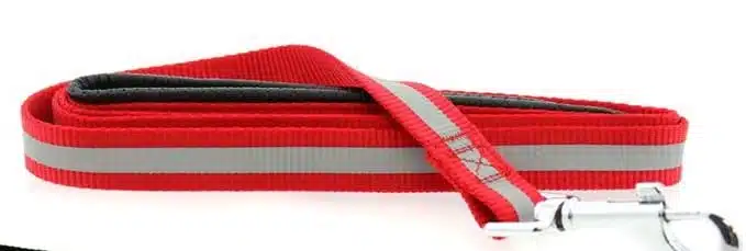 Reflective Nylon Leash with Soft Grip Handle - 3/4 in. Wide x 5 ft. Long - RED