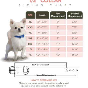 Collar Size Chart 2021-half inch