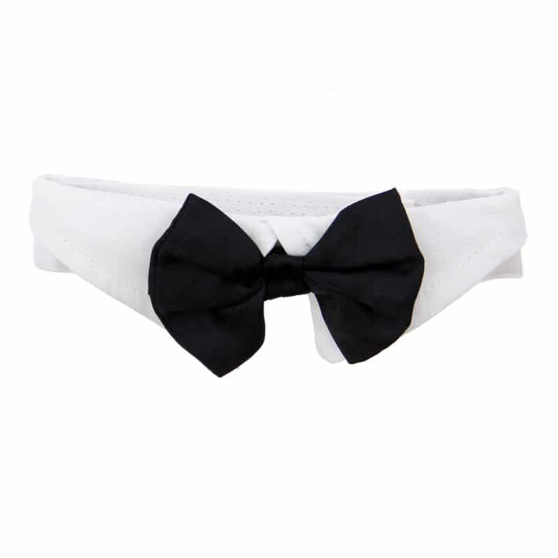White Collar with Black Satin Bow Tie