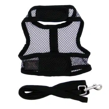 Cool Mesh Dog Harness - Solid Black