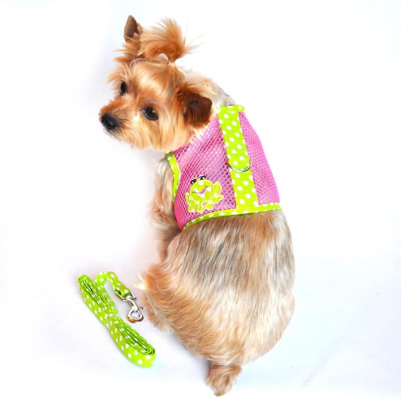 Cool Mesh Dog Harness Under the Sea Collection, Frog Green Dot and Pink