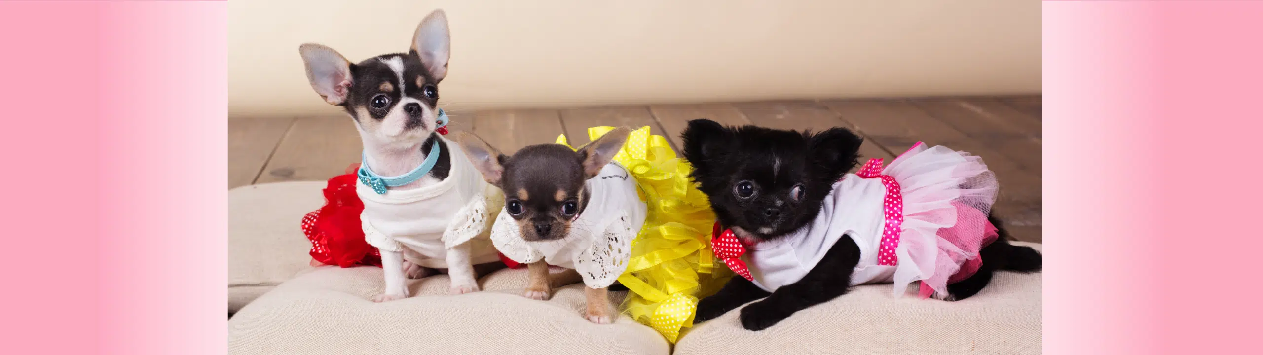 Puppy Dog Dresses