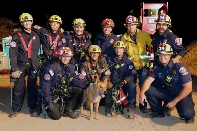 California Firefighters Rescue Blind Dog