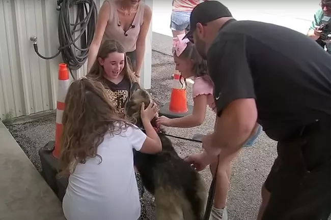 A dog is back with her family after she was stolen from her Texas home almost five years ago. The German shepherd named