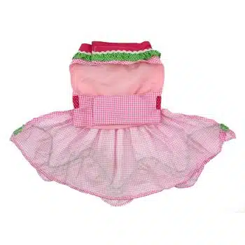 Watermelon Harness Dress