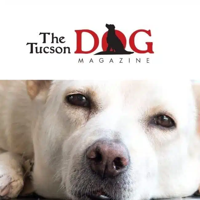 The Tucson Dog magazine