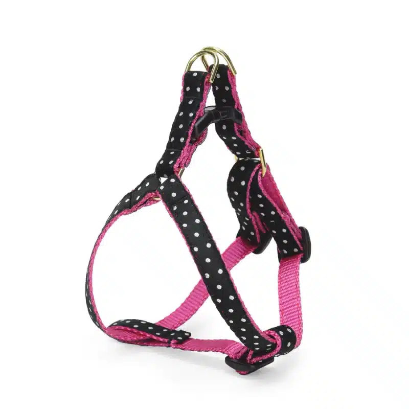 Black and White Dot Small Breed Dog Harness